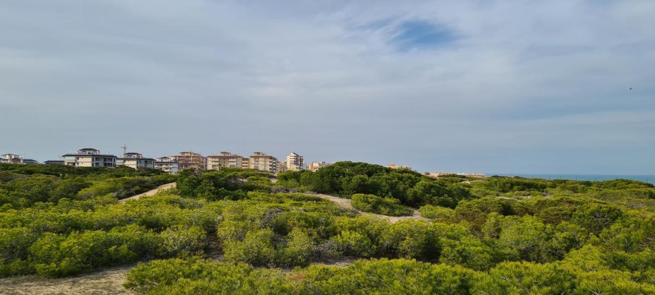 Sofia La Mata Apartment La Mata  Exterior foto